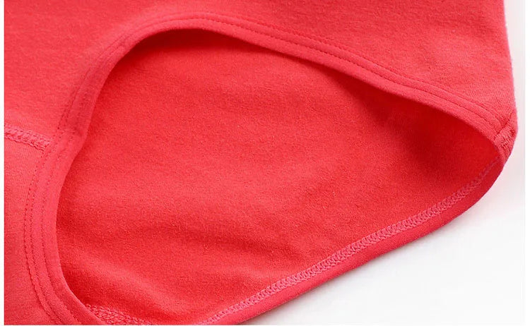 The 3-Pack Plus Size High-Waist Brief