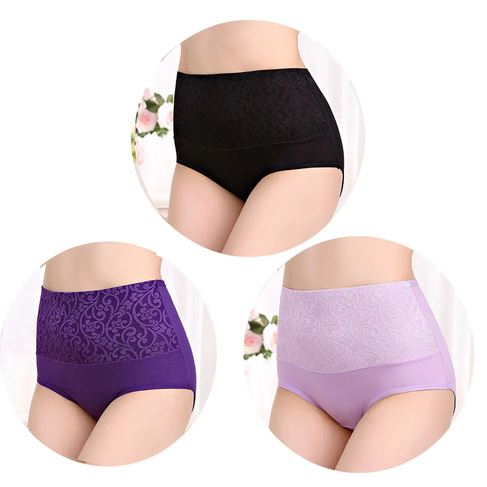 The 3-Pack Plus Size High-Waist Brief