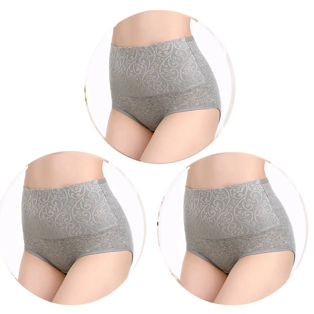 The 3-Pack Plus Size High-Waist Brief