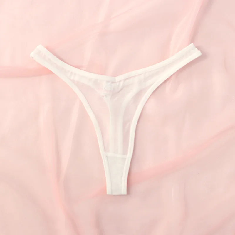 The Translucent Mesh T-Back Thong