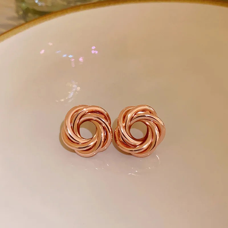 The Twisted Hoop Earrings