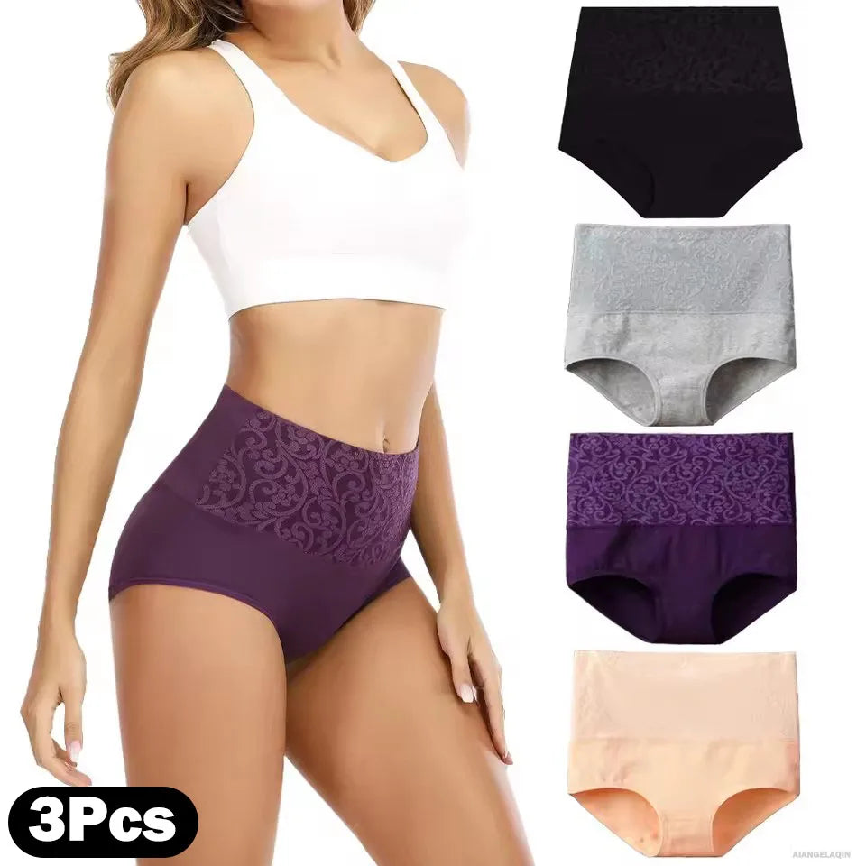 The 3-Pack Plus Size High-Waist Brief