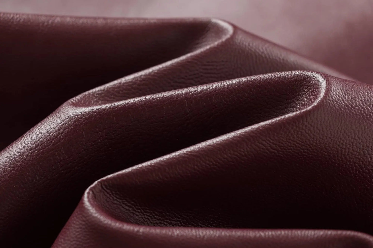 The Bordeaux Moto Jacket