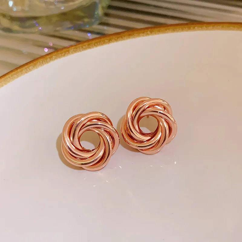 The Twisted Hoop Earrings