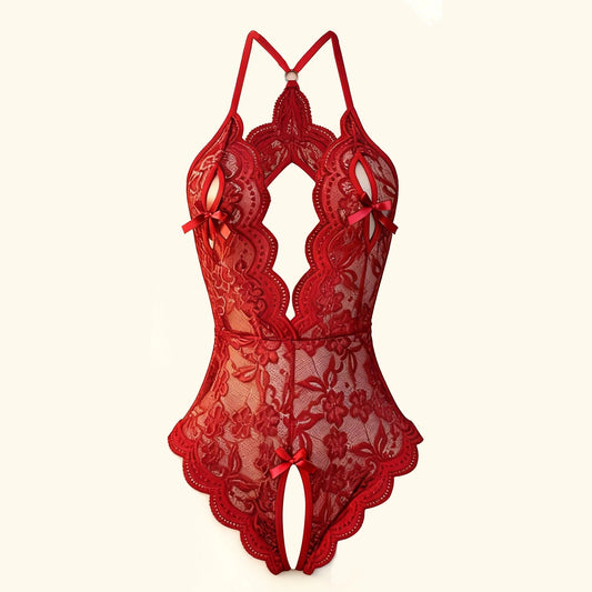 The Crotchless Backless Lace Hollow Bra Set