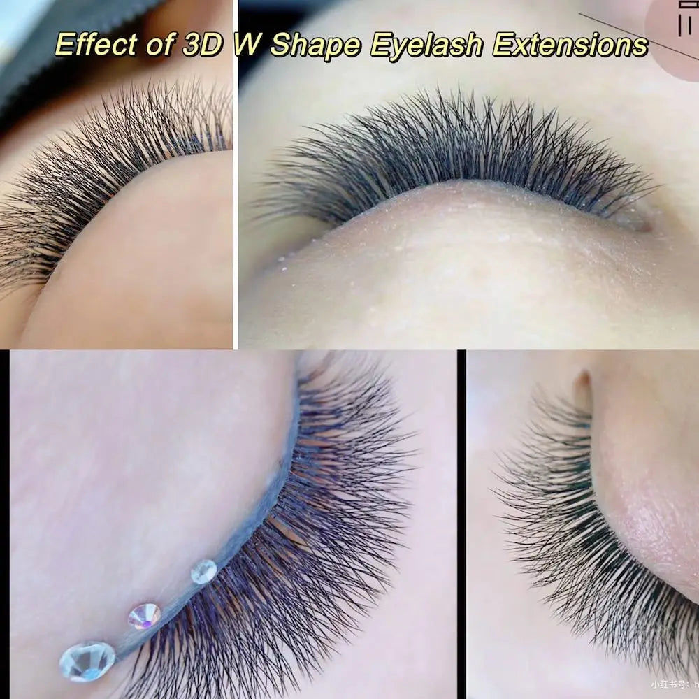 The 3D Bloom Lash Set